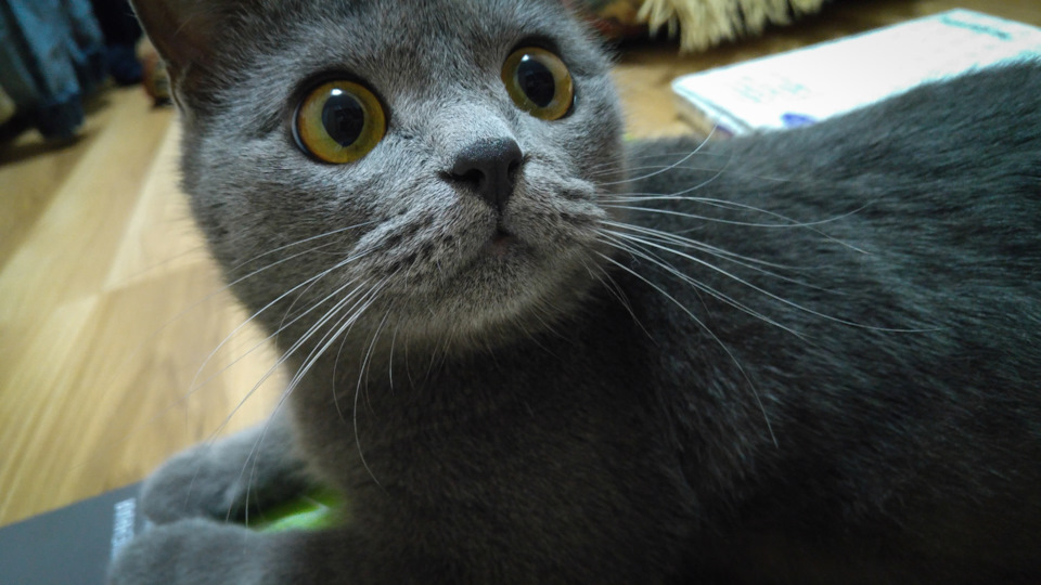 Фото в бортжурнале Hyundai Solaris