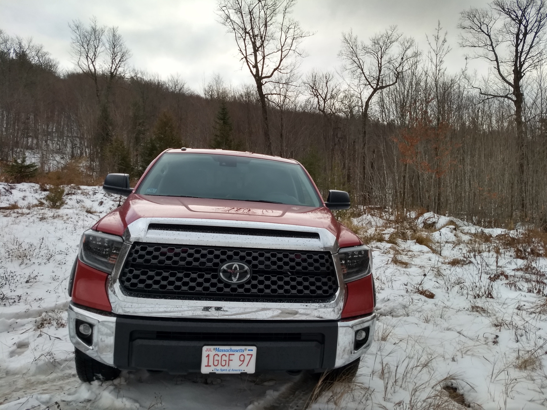 Неудачно съездил в лес — Toyota Tundra (III), 5,7 л, 2019 года | покатушки  | DRIVE2