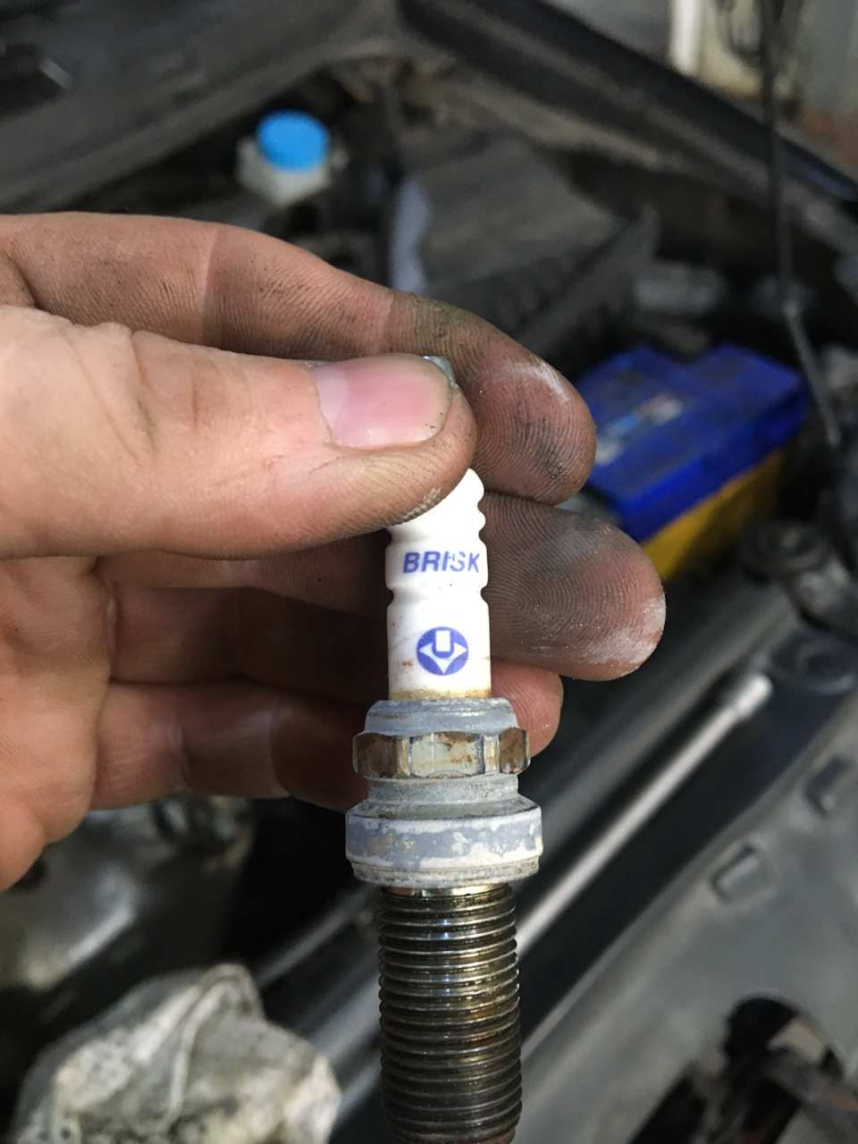 Фото в бортжурнале Nissan Primera (P12)