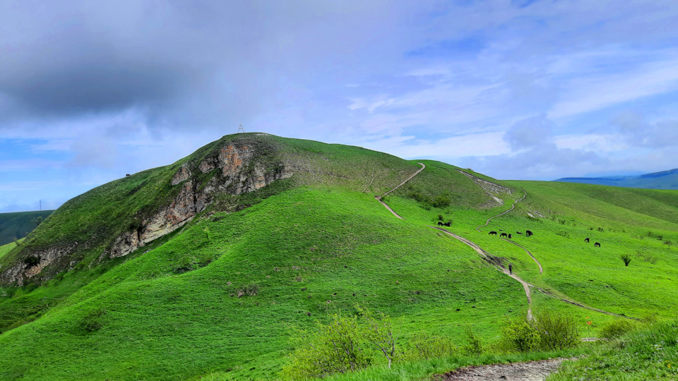 Фото в бортжурнале Lada Largus Cross