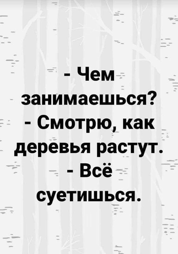 Смотрю как деревья растут все суетишься. Все суетишься. Смотрю как растет все суетишься. Опять суетишься.