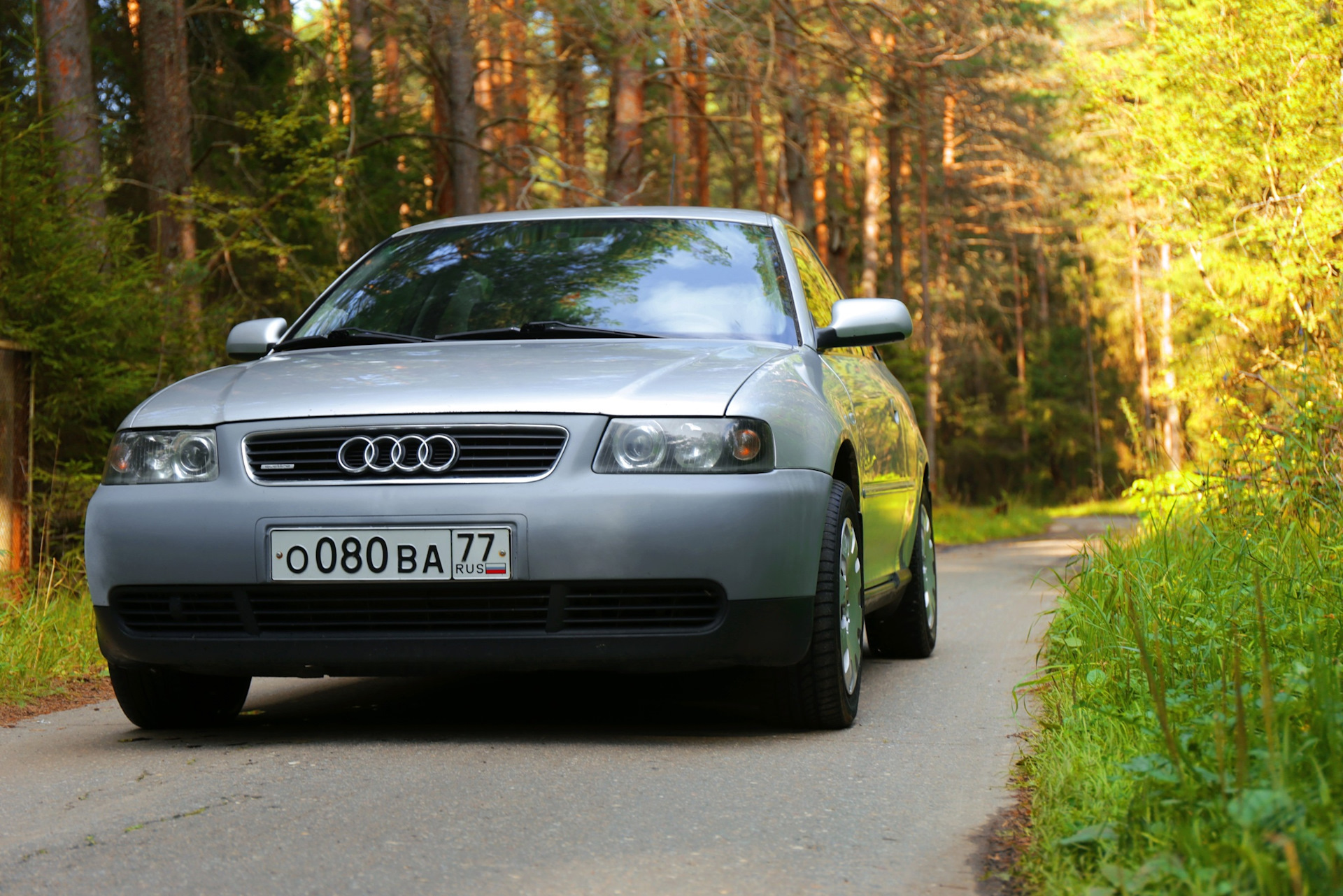 3 8 фото. Audi a3 8l. Audi a3 8l 1.6. Audi a3 i (8l). Audi a3 8l AGN.