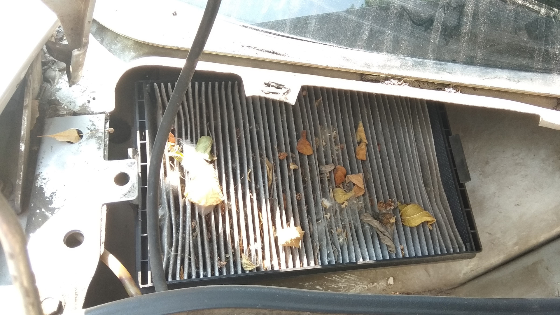 Замена салонного и воздушного фильтра ДВС — Lada Калина 2 универсал, 1 ...