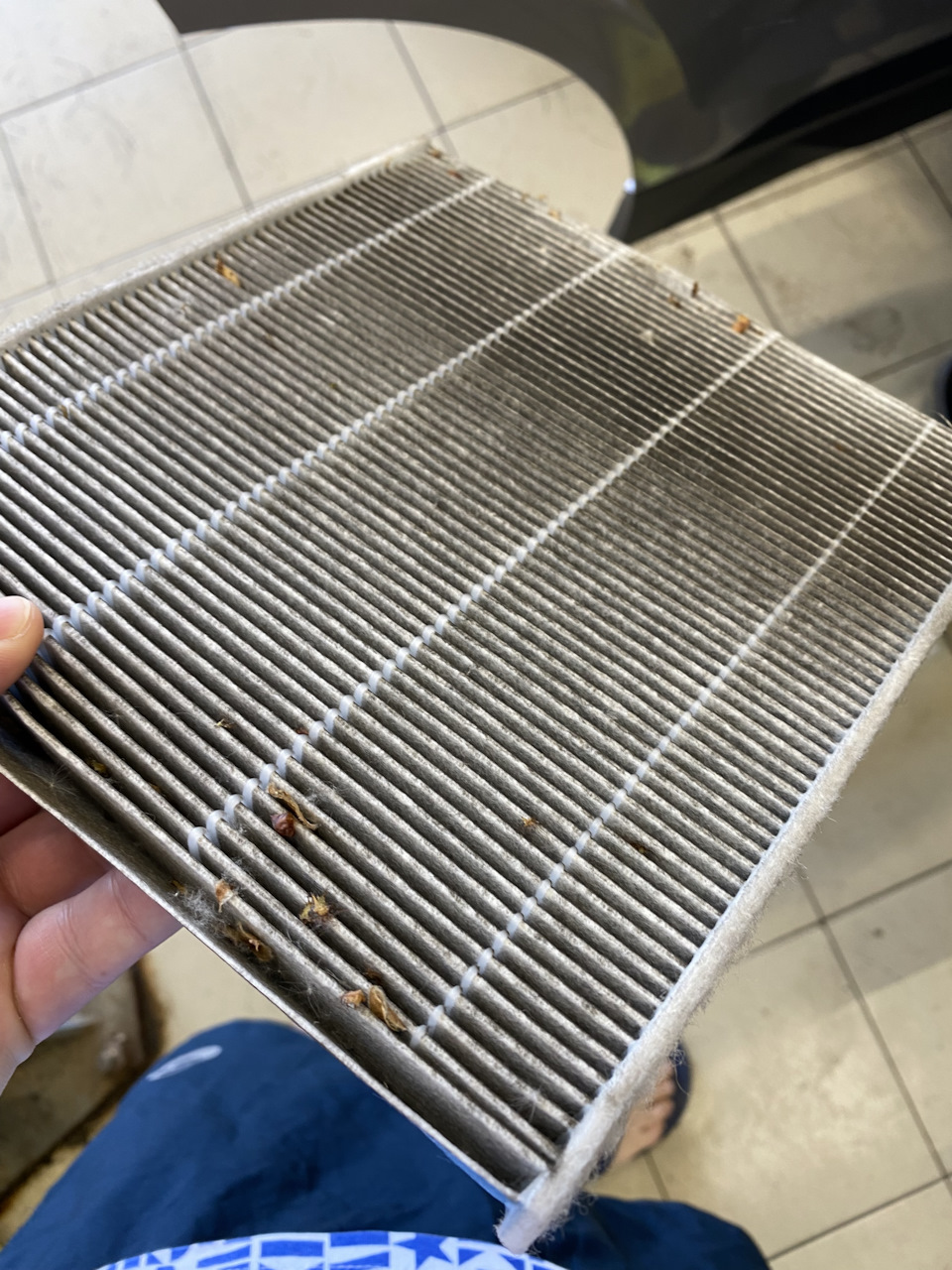 Photo from the logbook Geely Coolray (1G)