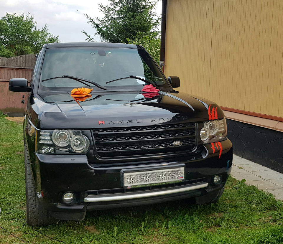 Ищем нового друга — Land Rover Range Rover (3G), 3,6 л, 2010 года | продажа  машины | DRIVE2