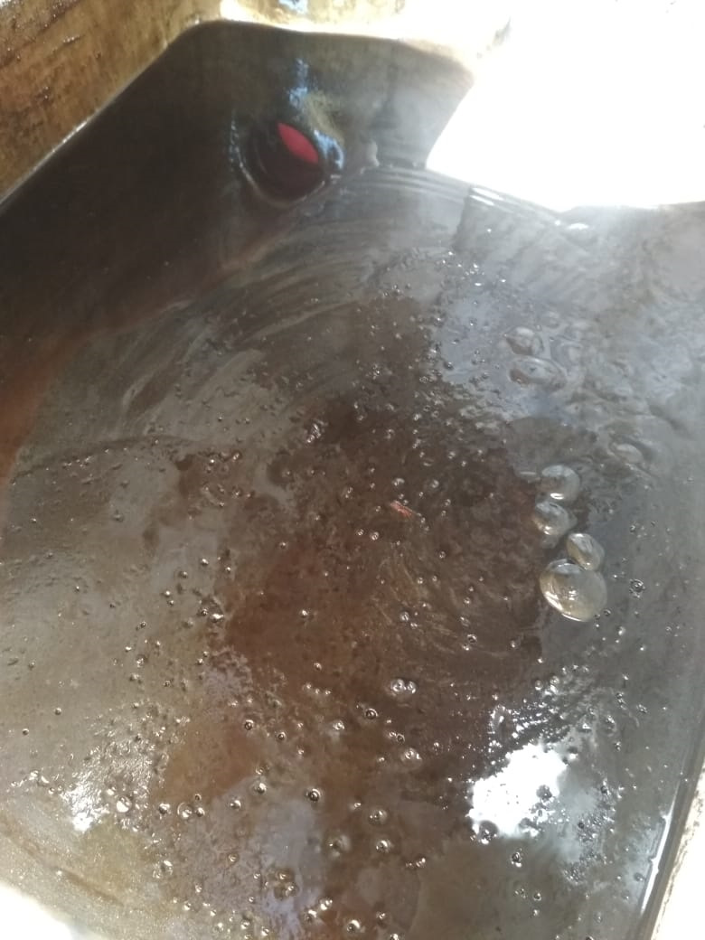 Фото в бортжурнале УАЗ 469