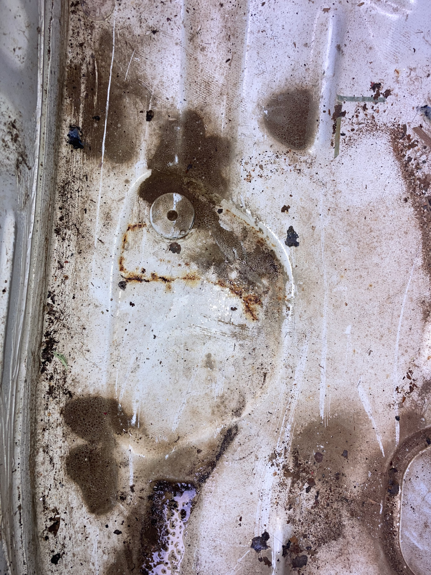 Вода в багажнике и РЖАВЧИНА — Renault Logan (2G), 1,6 л, 2019 года ...