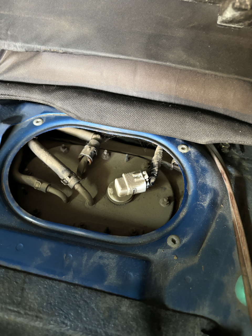 Фото в бортжурнале Subaru Forester (SG)