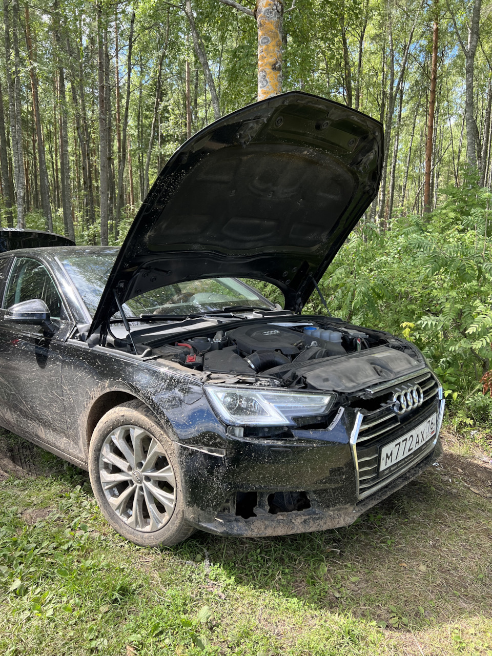 Неудачная поездка на природу. Сломанный бампер — Audi A4 (B9), 1,4 л, 2016  года | кузовной ремонт | DRIVE2