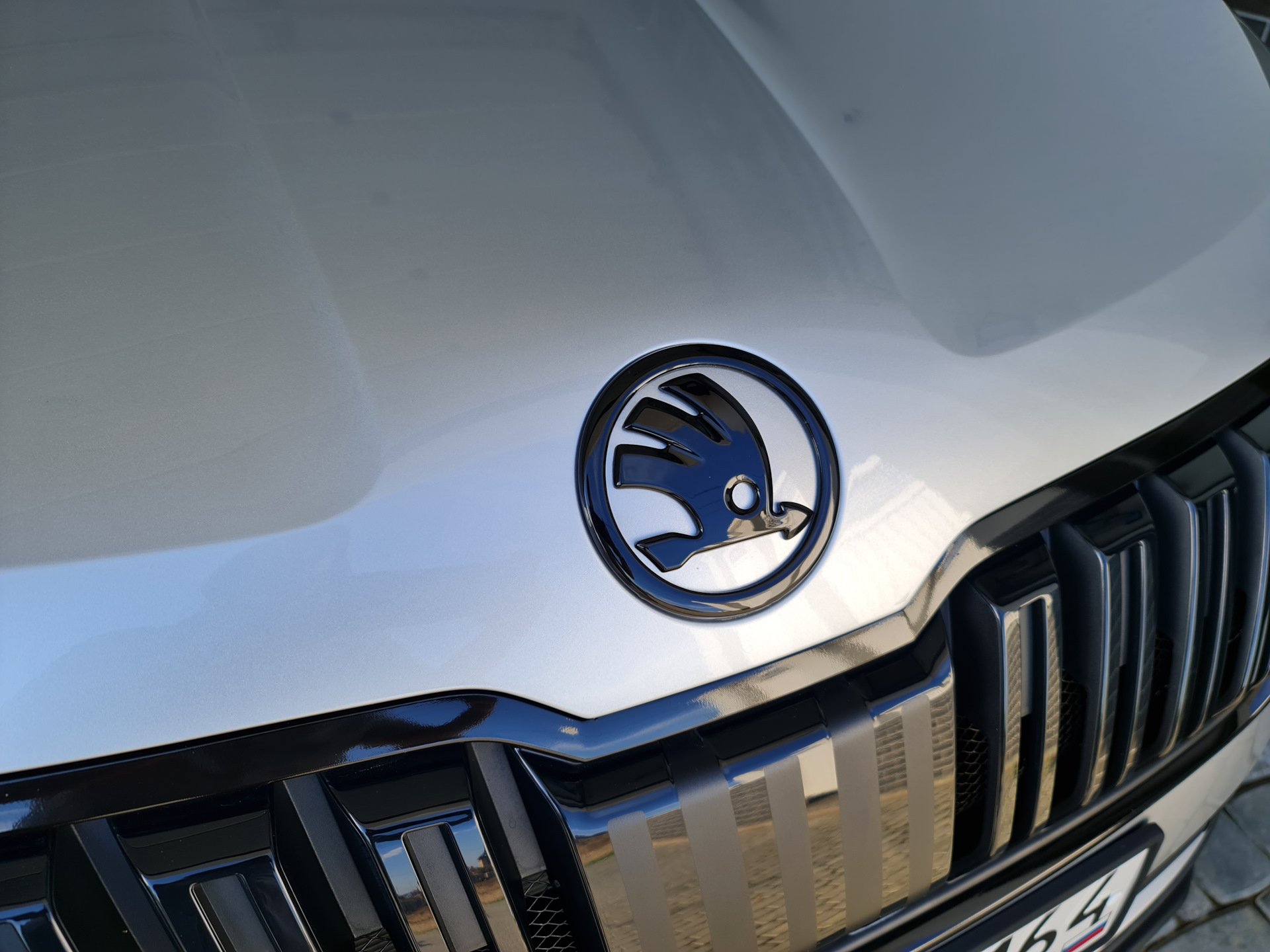 Капот шкода карок. Шкода Кодиак эмблема. Skoda Emblem 2021. Skoda Karoq Стайлинг.