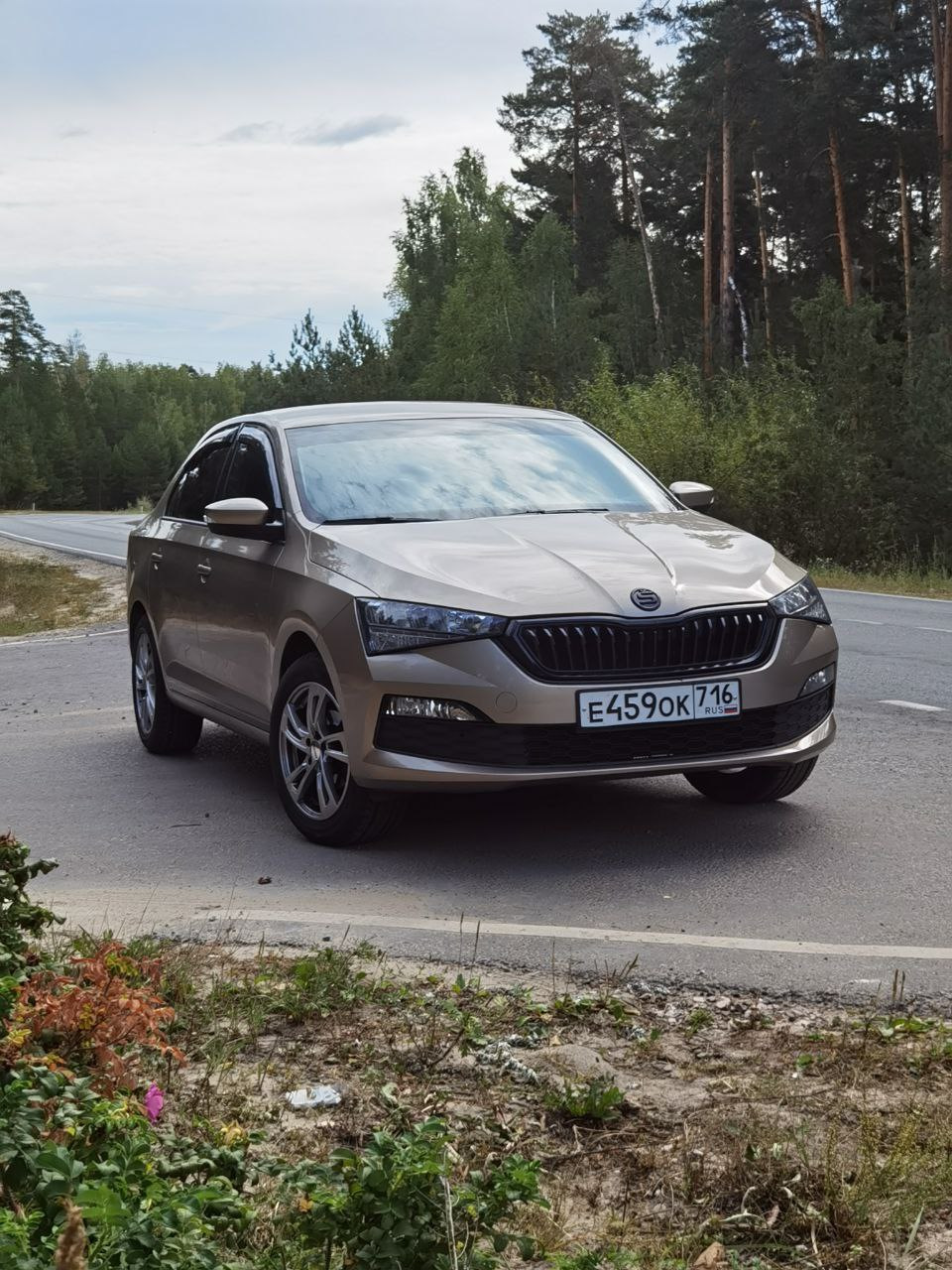 Фото в бортжурнале Skoda Rapid (2G)