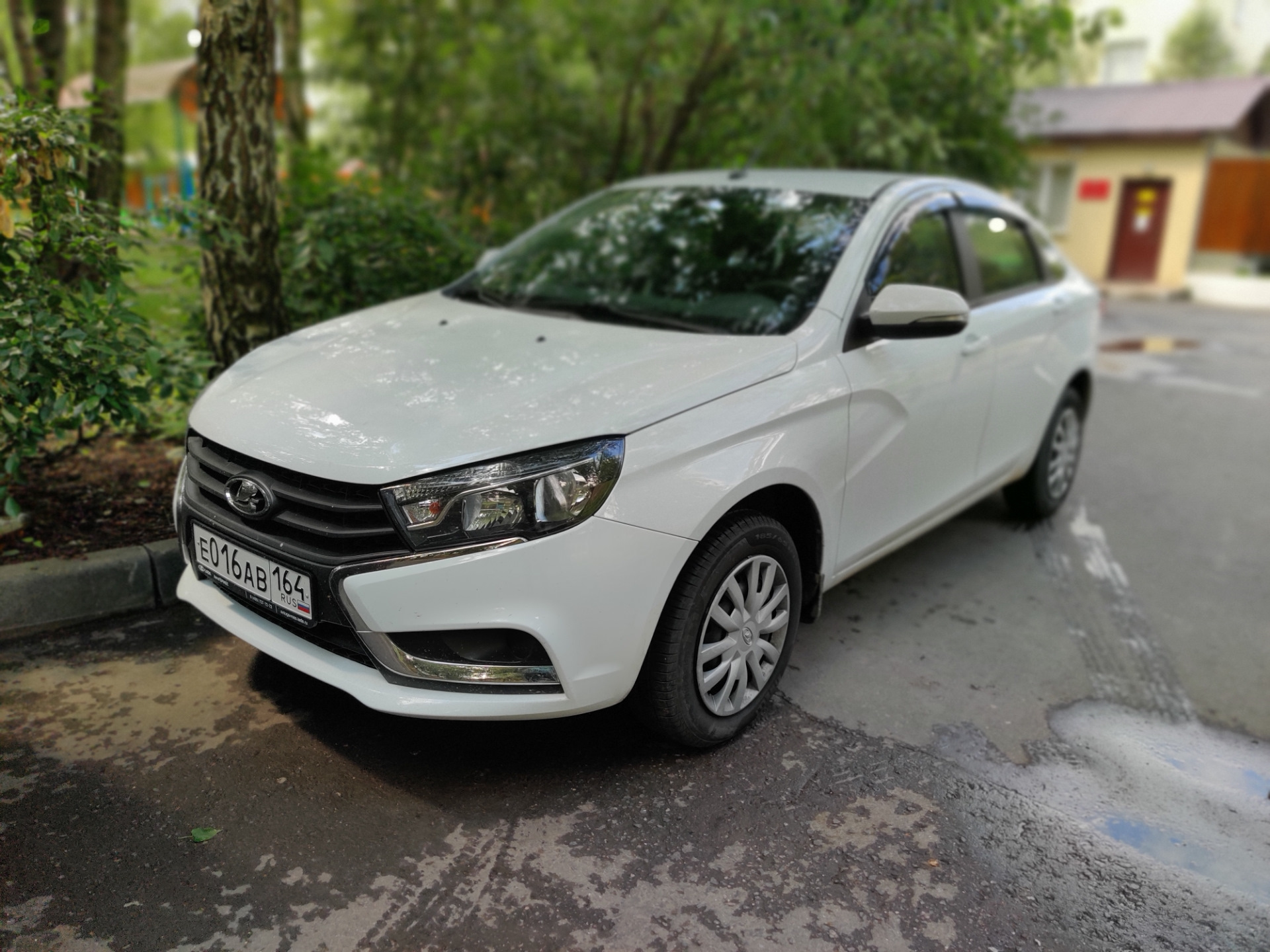 Не ставьте машину под берёзой — Lada Vesta, 1,6 л, 2019 года | расходники |  DRIVE2