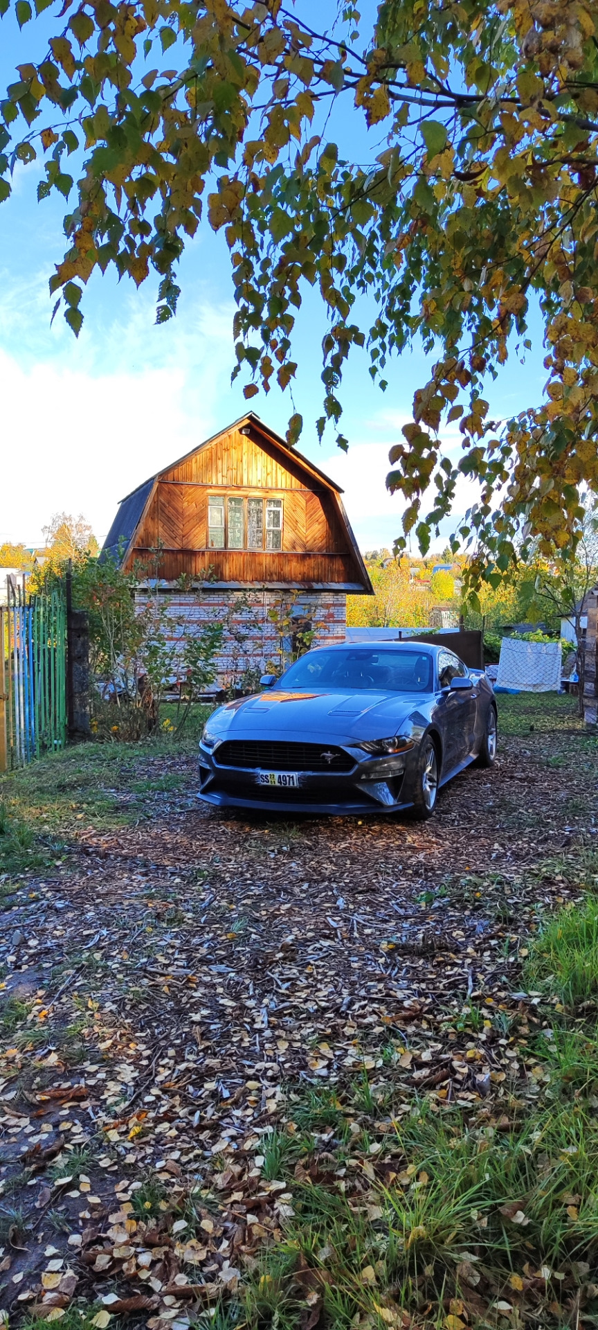 У меня Мустанг у Бабушки в деревне — Ford Mustang (6G), 2,3 л, 2021 года |  фотография | DRIVE2