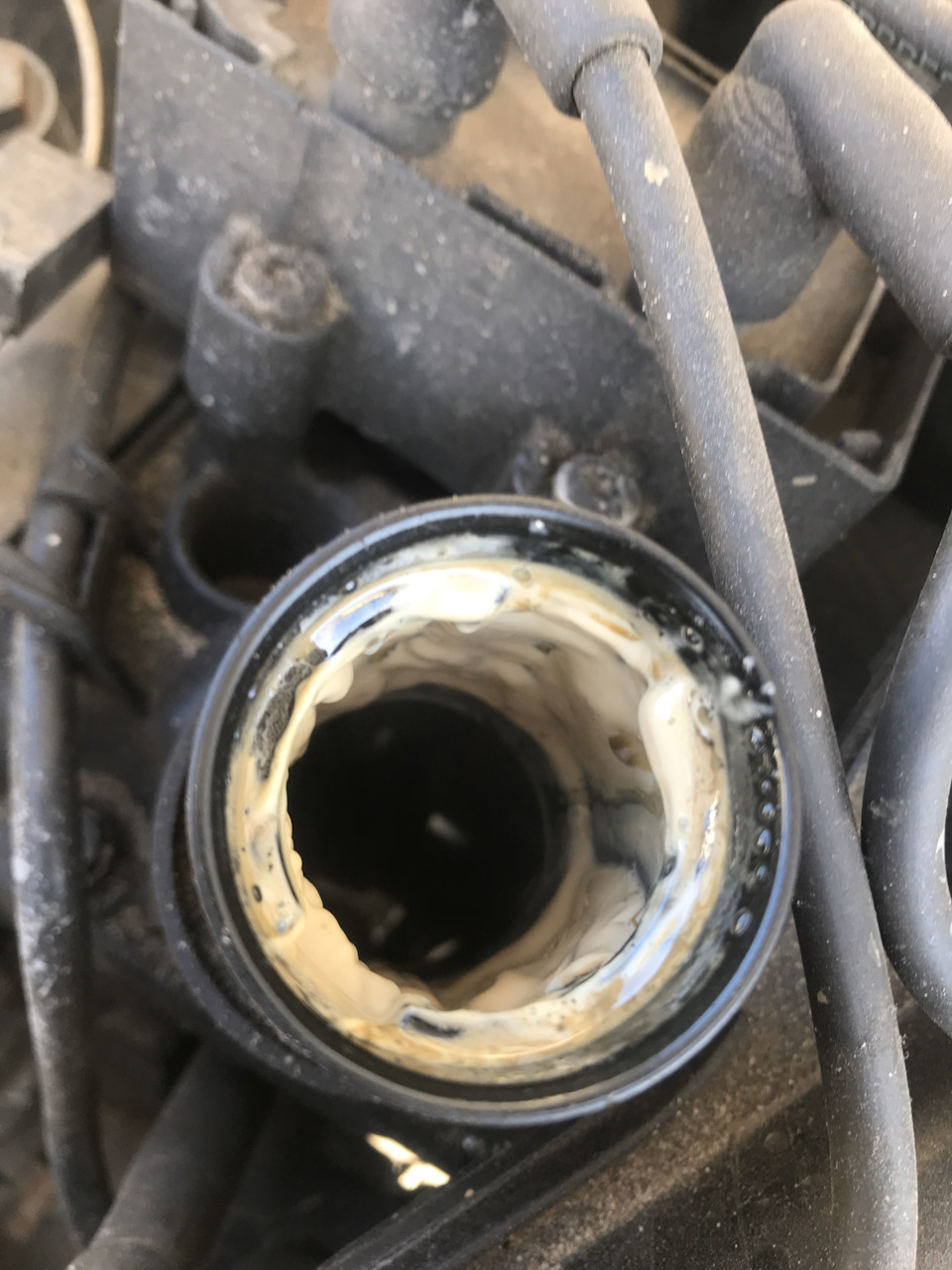 Эмульсия в клапанной крышке — Renault Clio II, 1,2 л, 2002 года ...