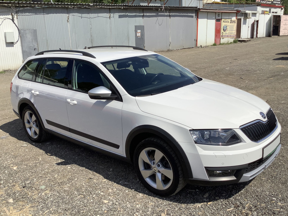 Фото в бортжурнале Skoda Octavia Scout A7 Mk3