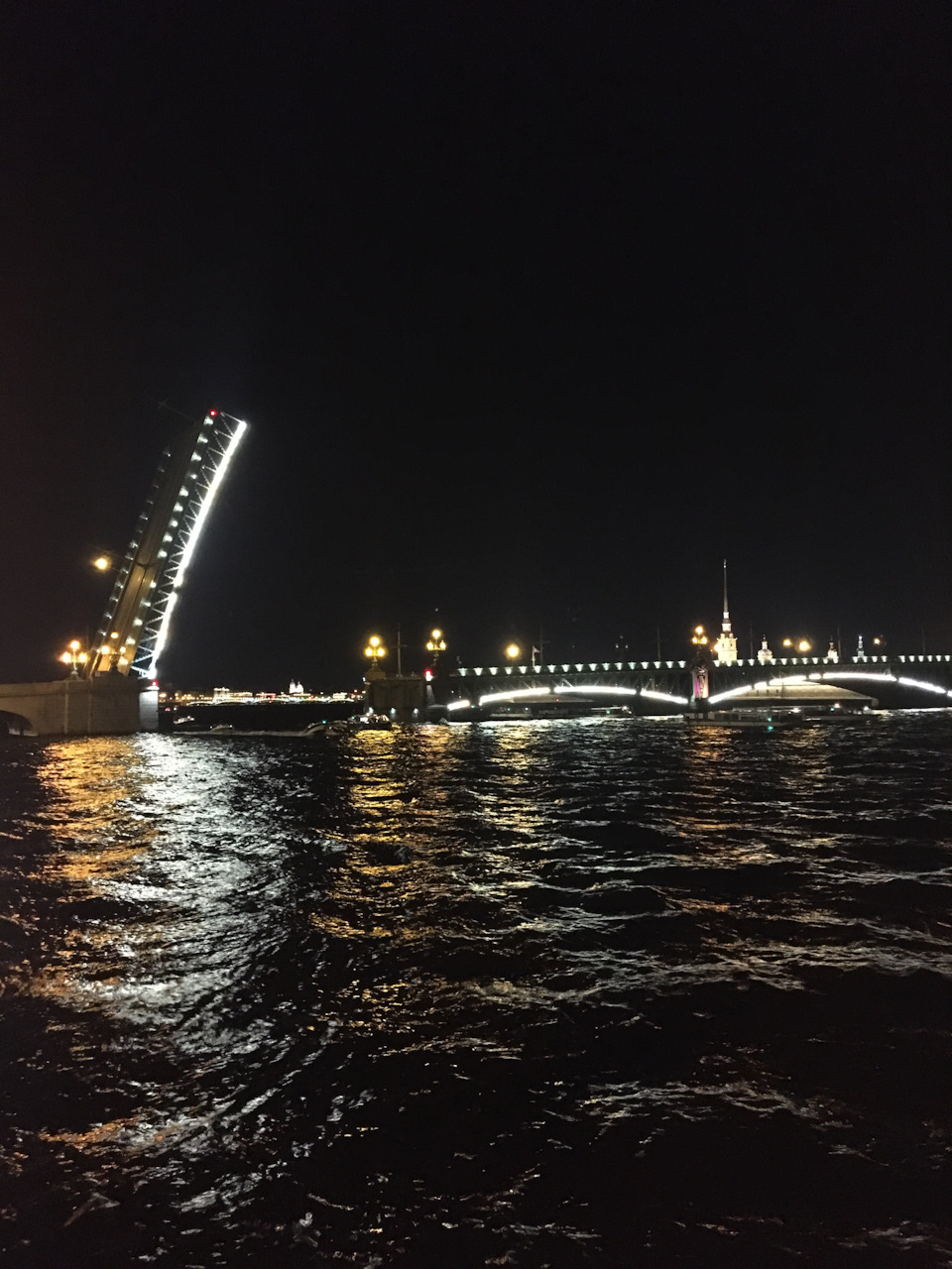 Троицкий разводной мост в Санкт-Петербурге