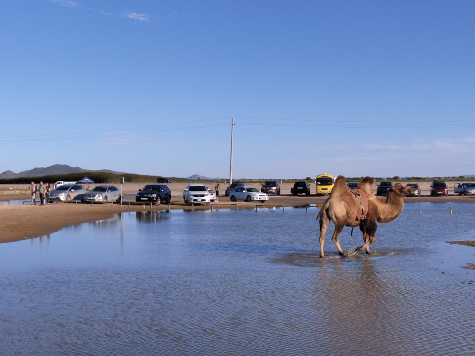 На этом фото много интересных мелочей — Subaru Impreza (GD/GG)