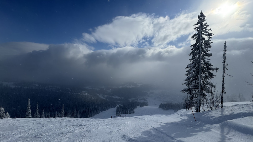 Фото в бортжурнале Skoda Kodiaq (1G)