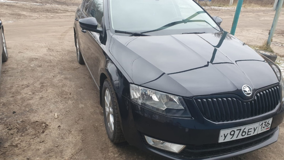 Масла ! — Skoda Octavia A7 Mk3, 1,8 л, 2013 года | плановое ТО | DRIVE2