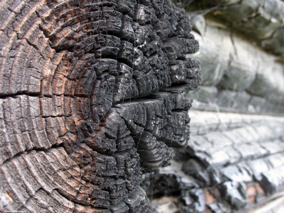 заброшенные храмы рязанской области. Смотреть фото заброшенные храмы рязанской области. Смотреть картинку заброшенные храмы рязанской области. Картинка про заброшенные храмы рязанской области. Фото заброшенные храмы рязанской области заброшенные храмы рязанской области. Смотреть фото заброшенные храмы рязанской области. Смотреть картинку заброшенные храмы рязанской области. Картинка про заброшенные храмы рязанской области. Фото заброшенные храмы рязанской области