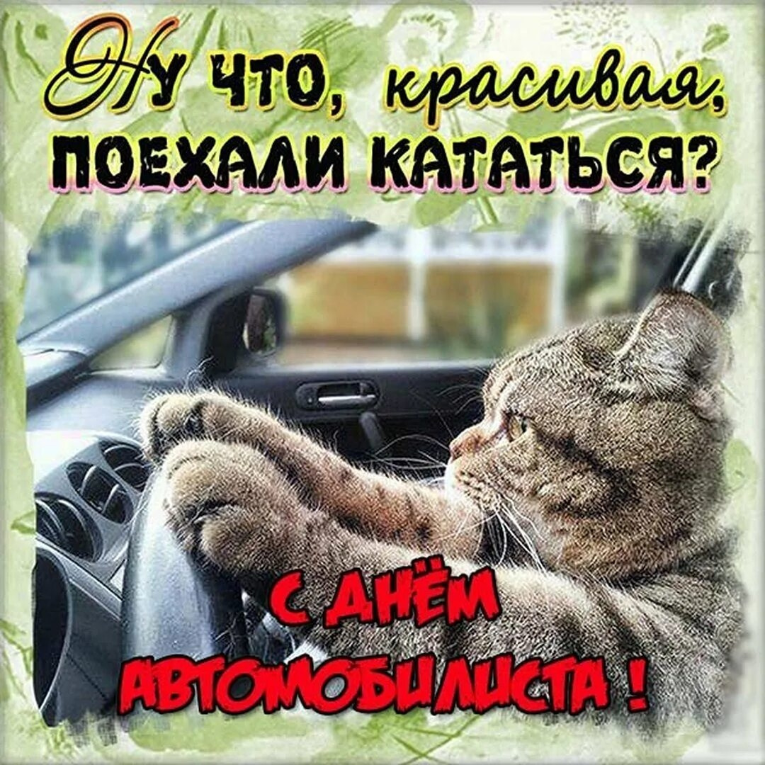 День автолюбителя. С днем автомобилиста. С днём автомобилиста открытки. С днём автомобилиста прикольные. С днем автомобилста прикол.