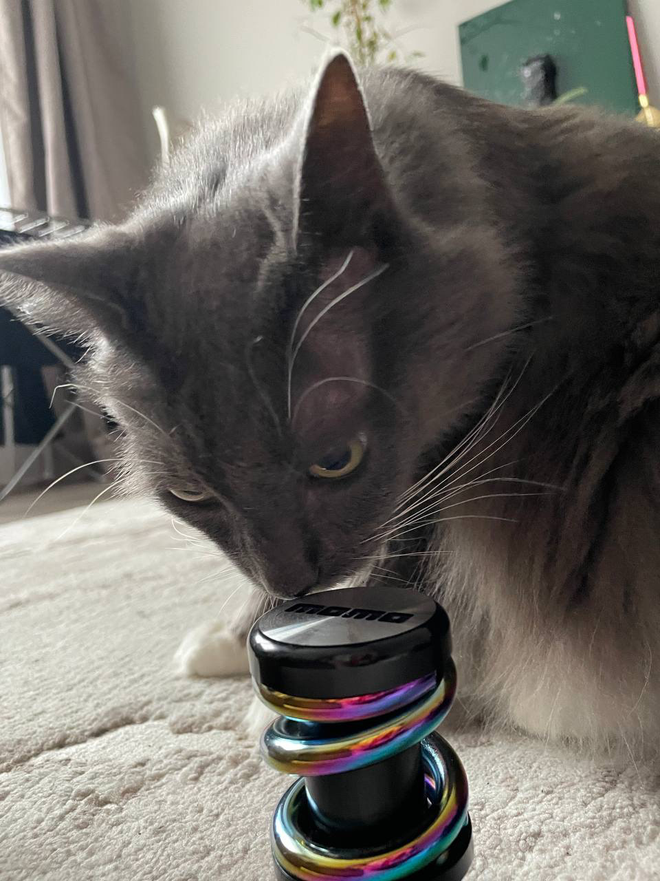 Басик оценил) — Honda Prelude (BB5/BB6/BB7/BB8/BB9)