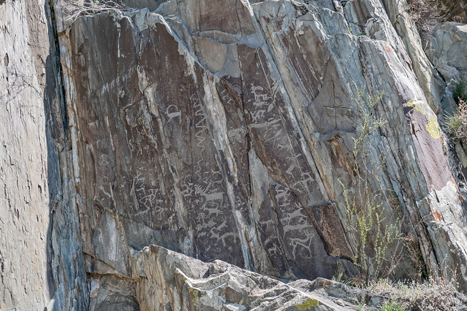 P1sy7seDHGh CBvVLFyLQHS3XoY 960 Луна на алтае как добраться