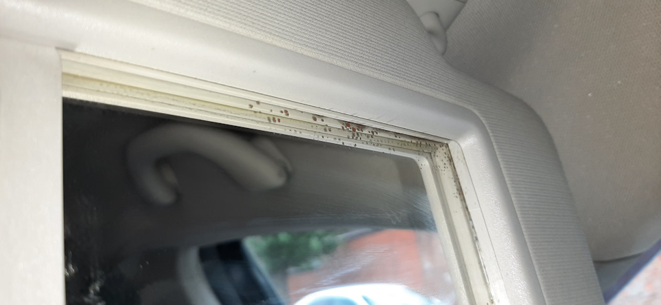 Зеркало в козырьке — SEAT Leon (Mk III), 1,2 л, 2013 года | другое | DRIVE2