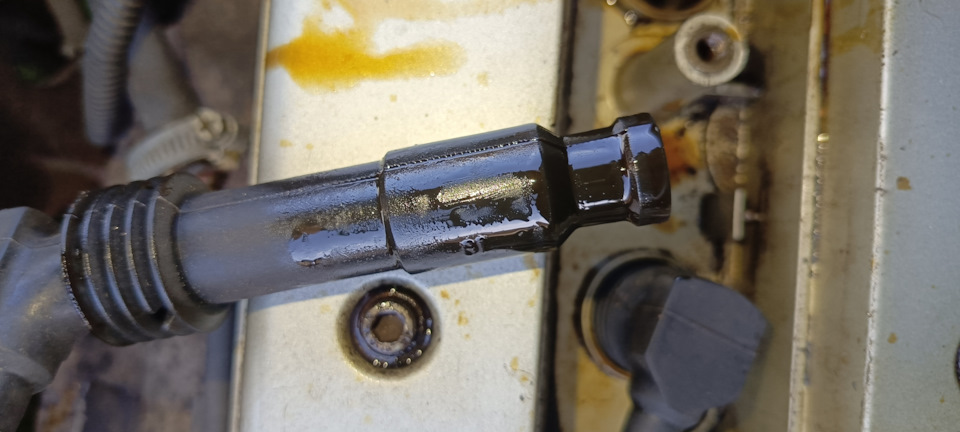 Вот уровень масла которое выдавилось через прокладку — Opel Sintra