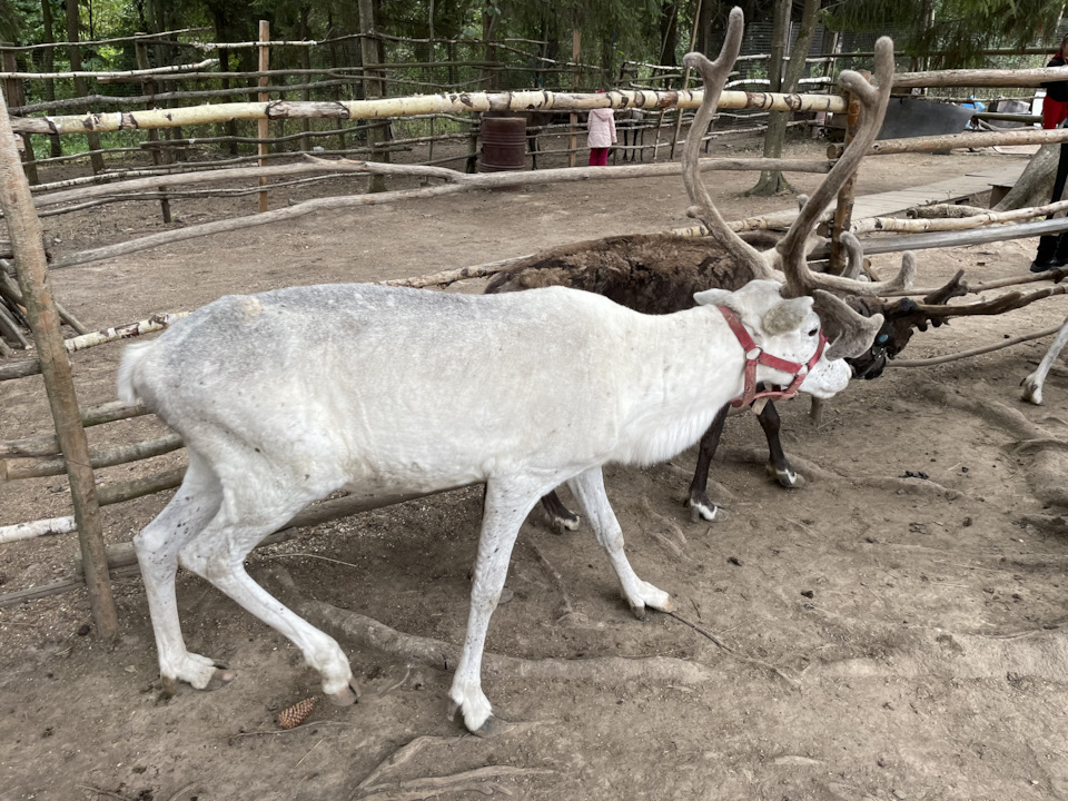 Фото в бортжурнале Cadillac Escalade (3G)