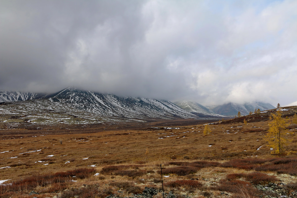 Облака уже близко, а мы все вверх карабкаемся — Toyota Land Cruiser 80