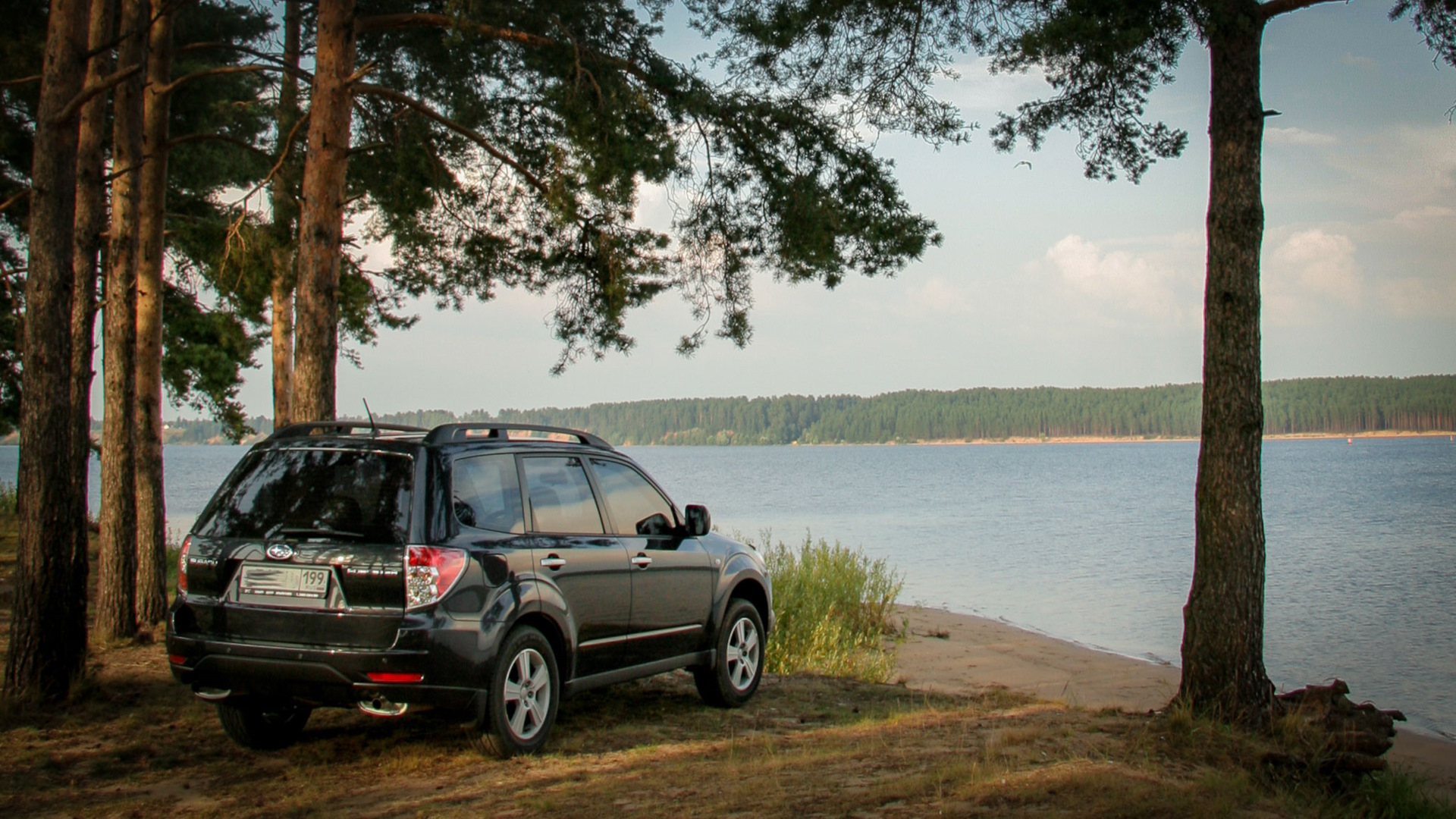 Subaru Forester (SH) 2.0 бензиновый 2008 | Frank (Francis) на DRIVE2