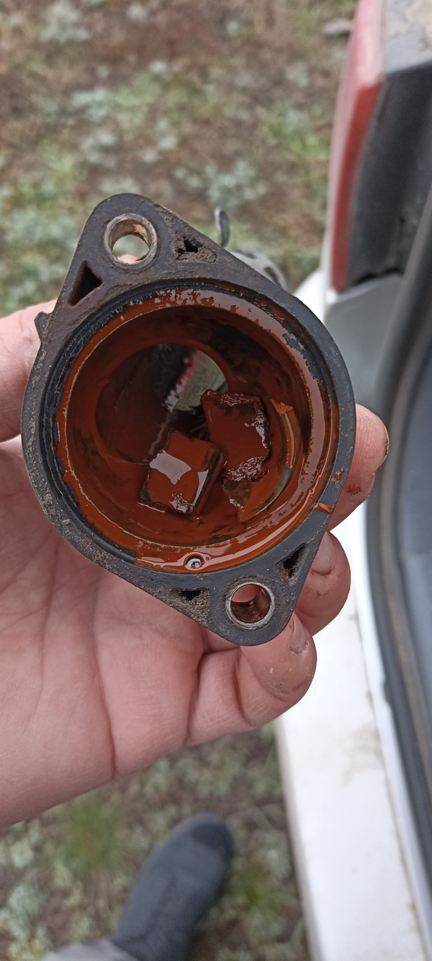 Замена крышки термостата — DRIVE2