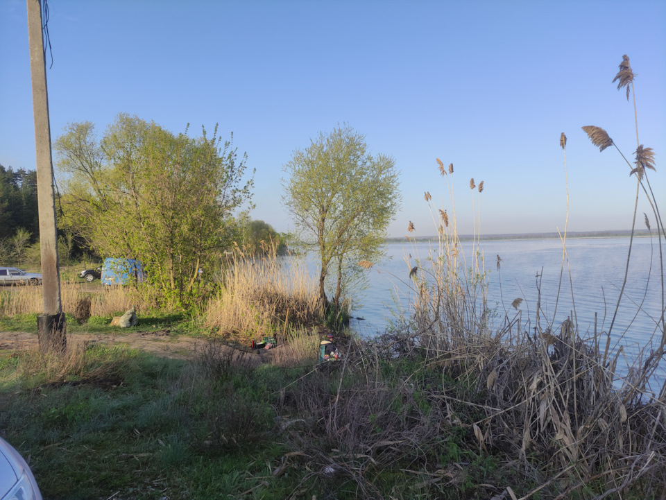 Атомная рыба Теляпия рыба 🐟🐟🐟🐟 — Сообщество «Радиосвязь и Радиолюбители ...