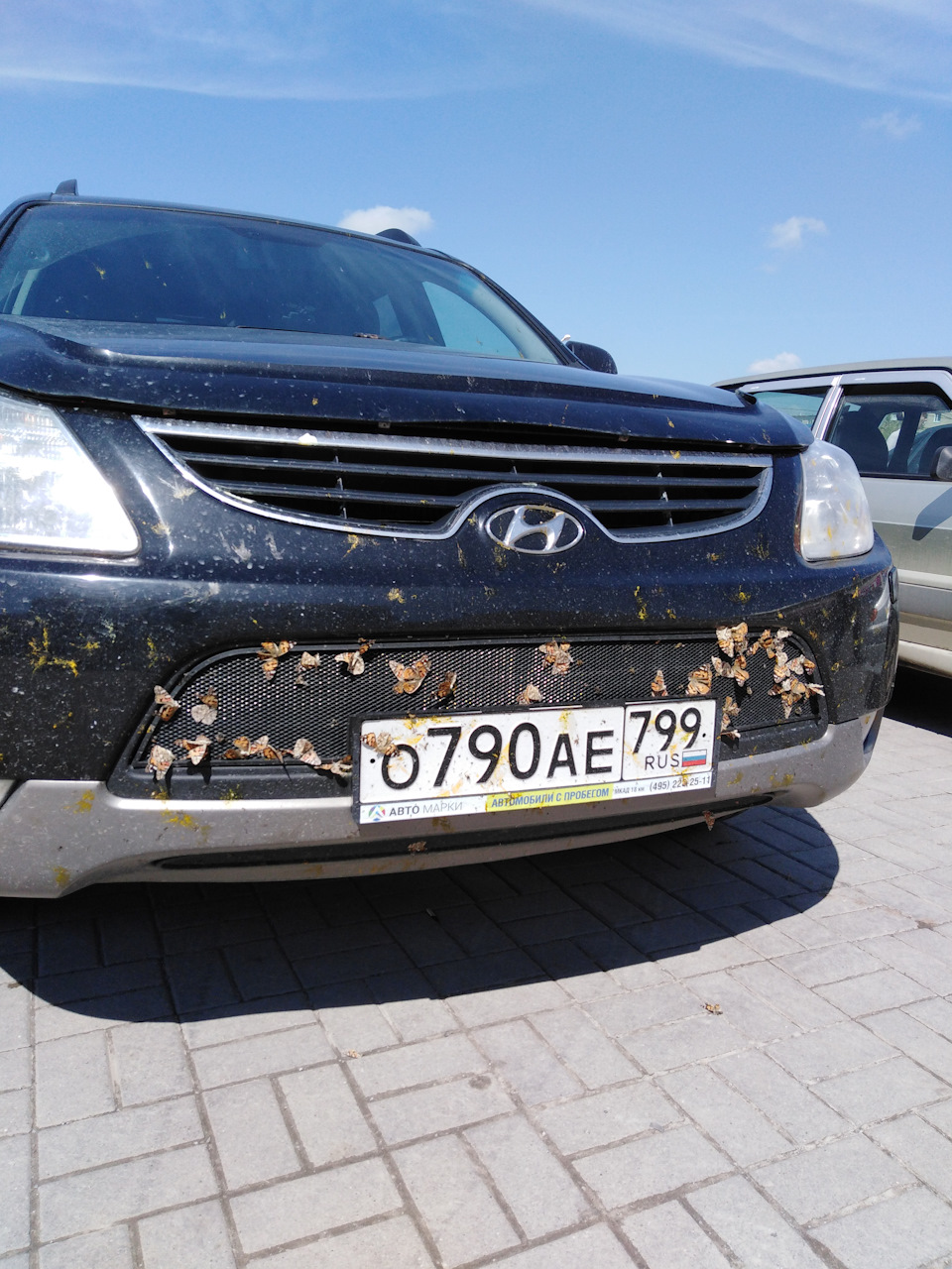 Москва — Волгодонск — Москва. Майские праздники. — Hyundai ix55, 3 л, 2010  года | путешествие | DRIVE2