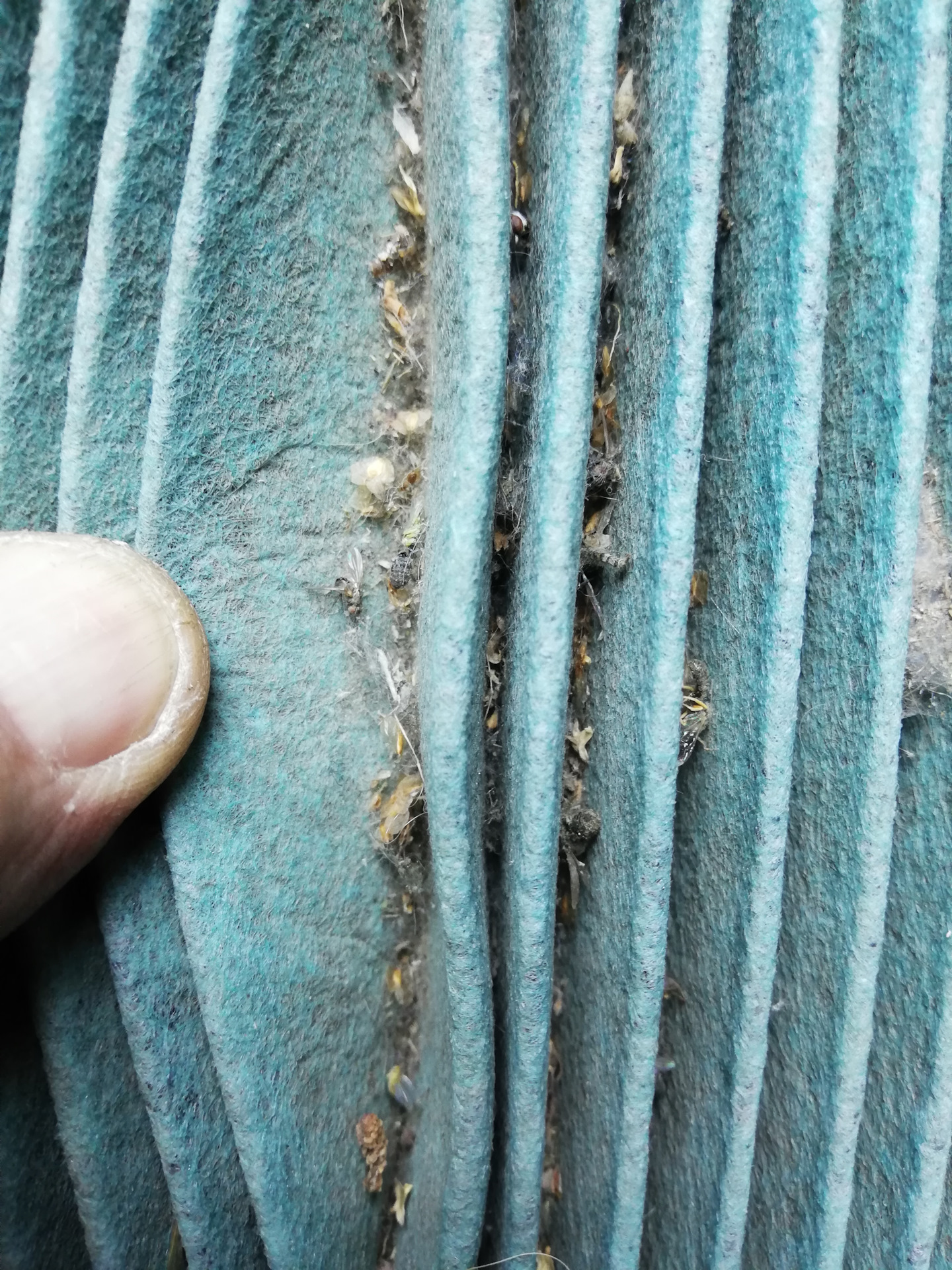 Регулировка клапанов в 8-клапанном ВАЗ-11186 с ГБО. — Lada Гранта (2G ...