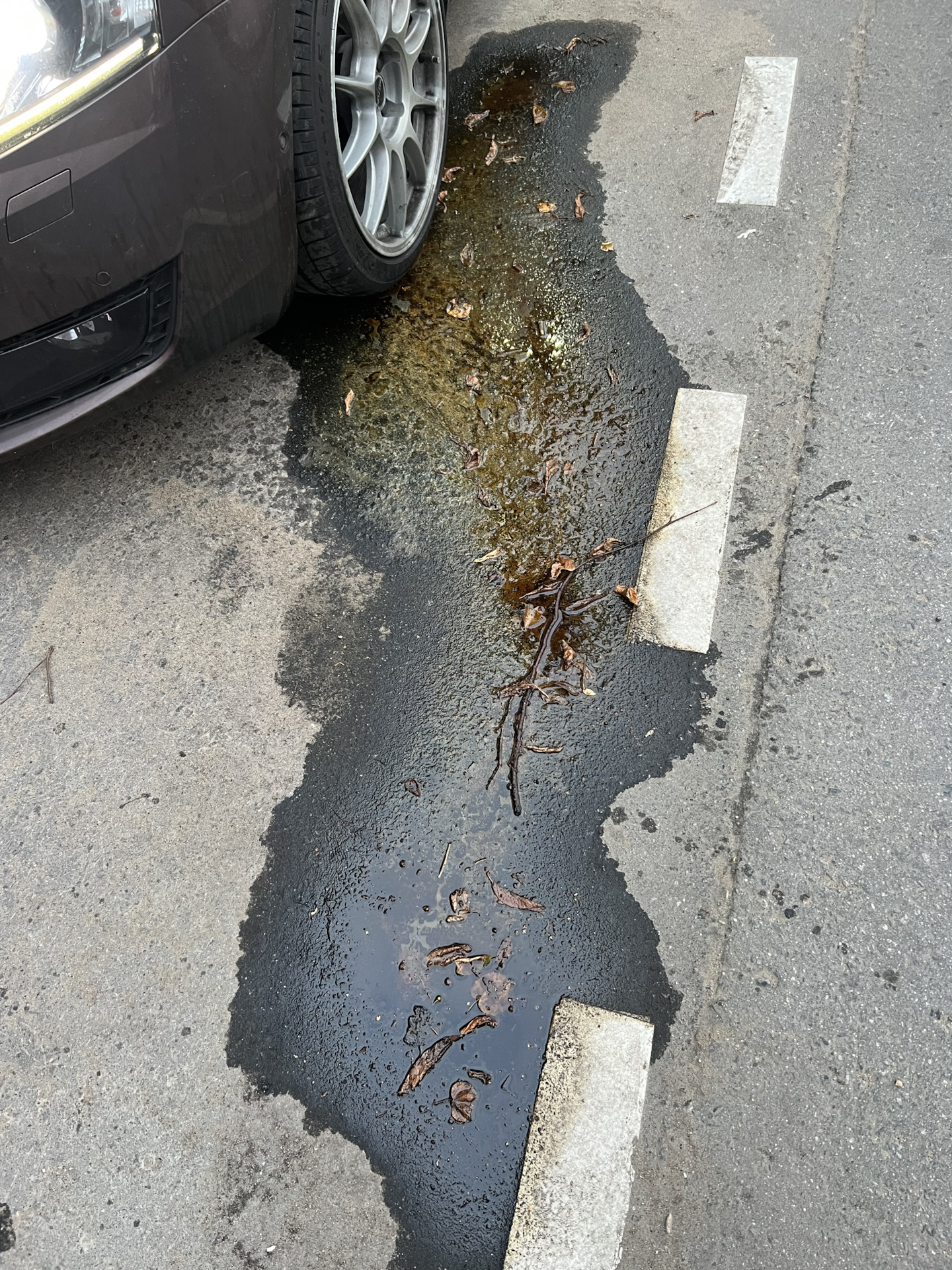 Беды пост. Вытекло масло из двигателя — Skoda Octavia A7 Mk3, 1,8 л ...