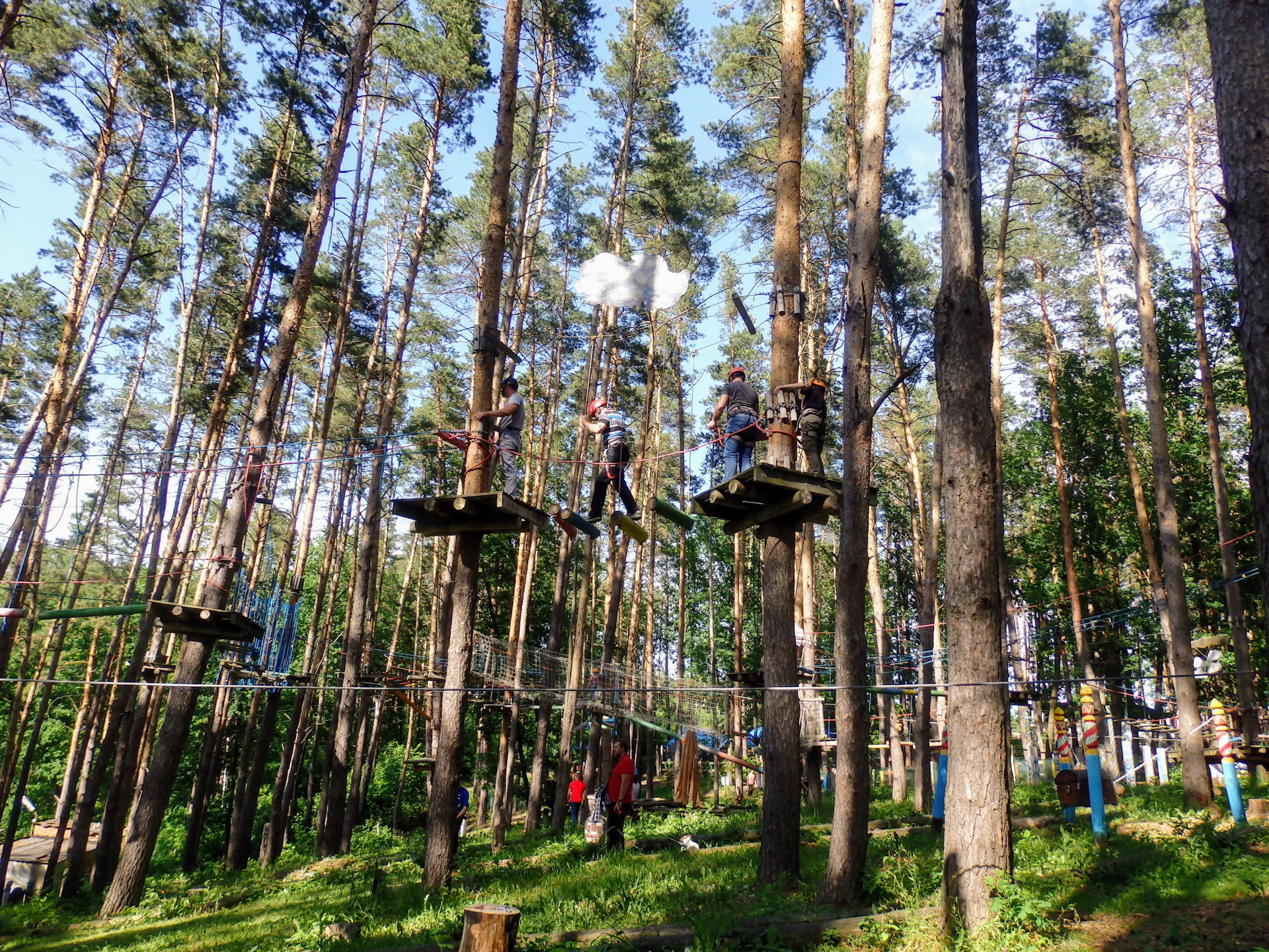 форест парк задонск