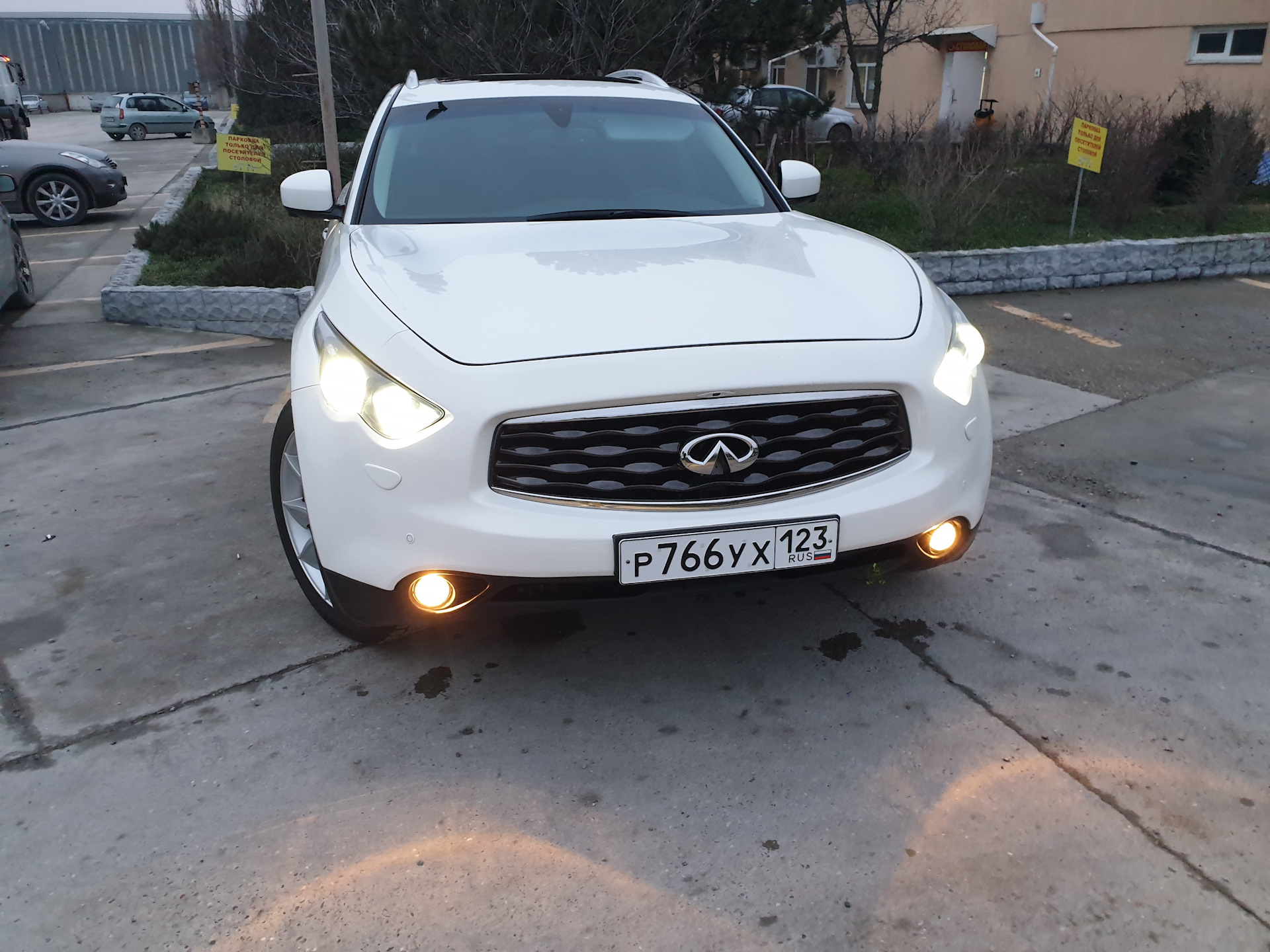 Замена лампы инфинити. Лампочки Инфинити fx45. Infiniti fx37 лампы в поворотники драйв 2. Инфинити fx37s белый ксенон в туманках. Лампа AWD Инфинити FX.