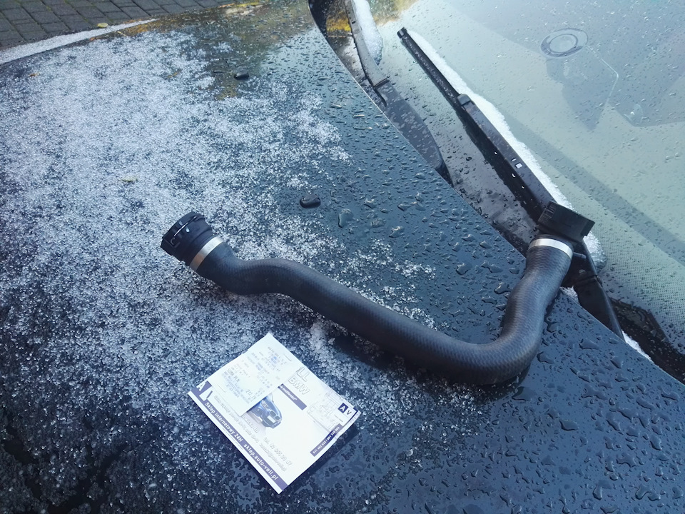 #142. ВНИМАНИЕ! Нужна помощь, выгоняет антифриз… — BMW 5 series (E39 ...