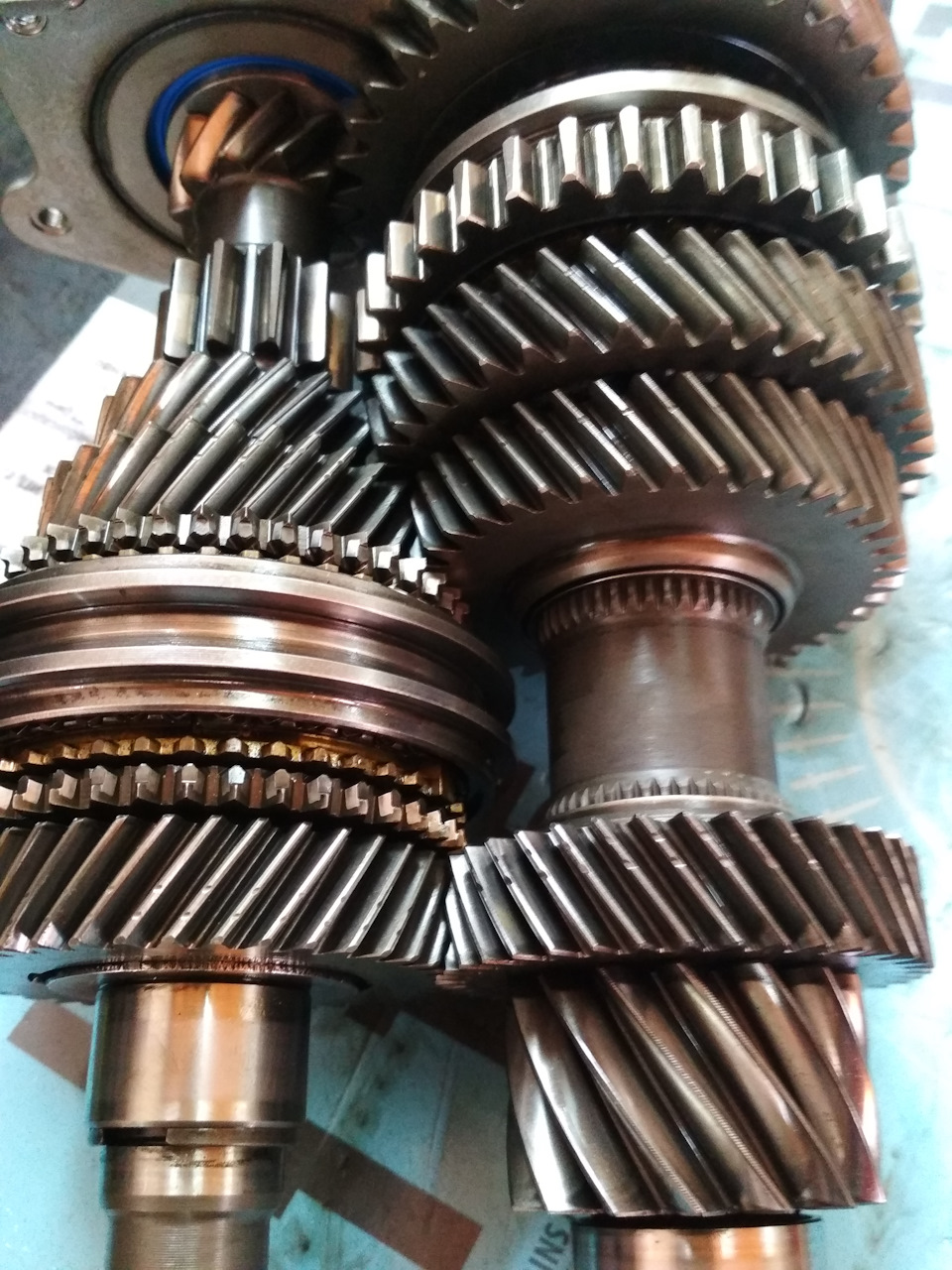 462005510 комплект подшипника ступицы коробки 02t audi seat skoda volkswagen куп