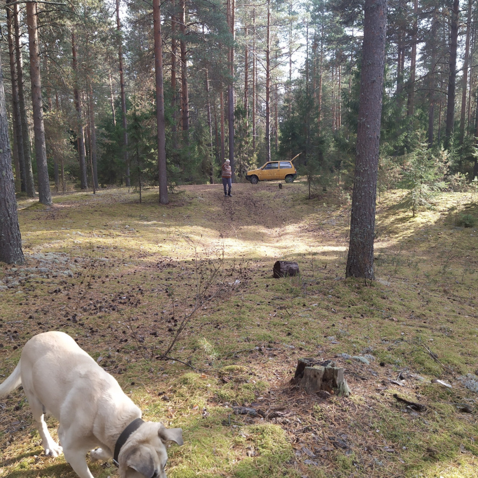 Выезд на природу на Оке( обычно на соболе). — Lada 11113 Ока, 0,7 л ...