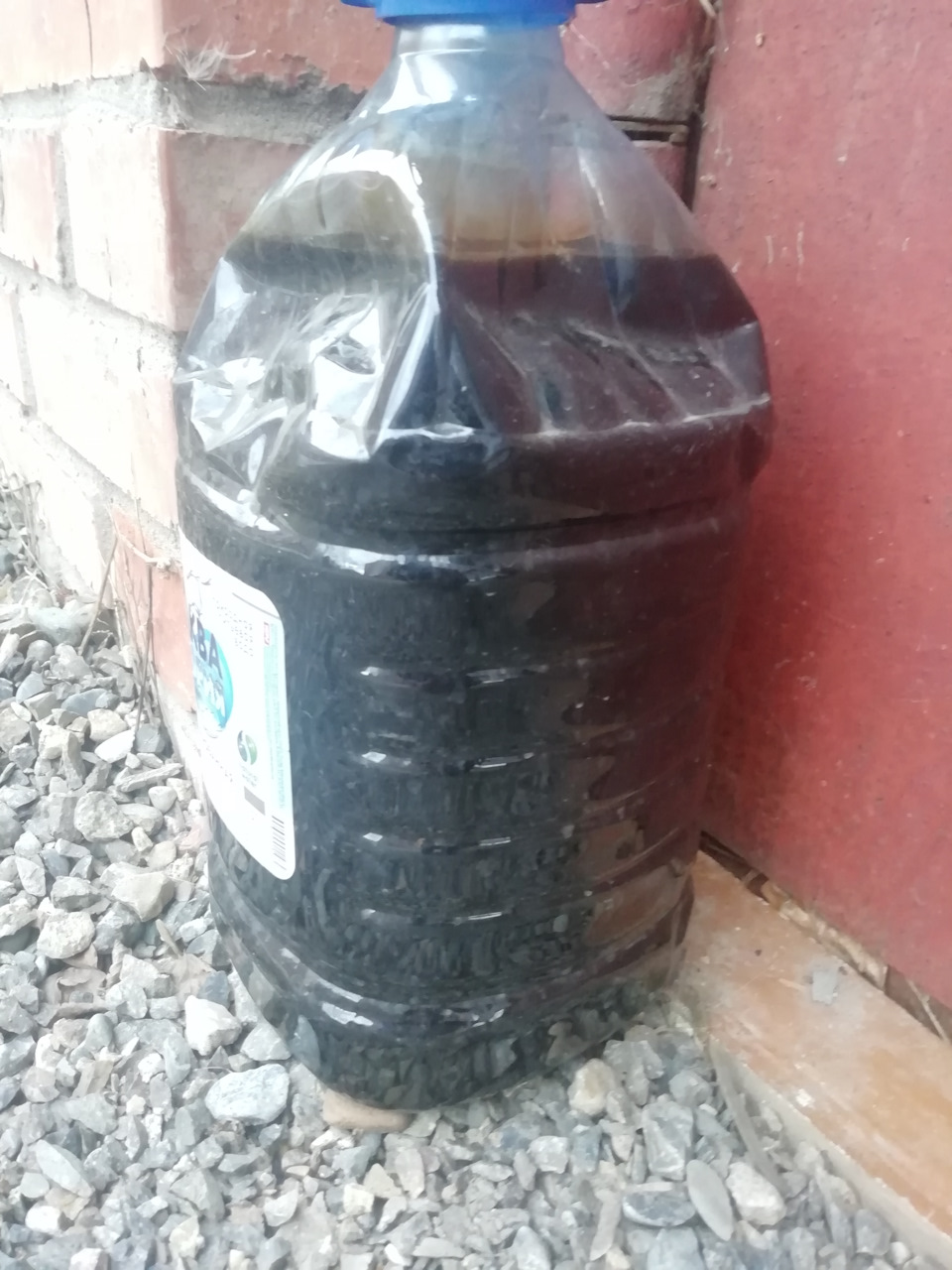 Слил старое масло, было залито petro Canada 5w30, на своих машинах я меняю масло 1 раз в 5000км, дальше не вижу смысла кататься, масло уже чёрное, очень чёрное, а это ещё пробег без прогревов, а масло уже устало, но это дело каждого) — Toyota Chaser (100)