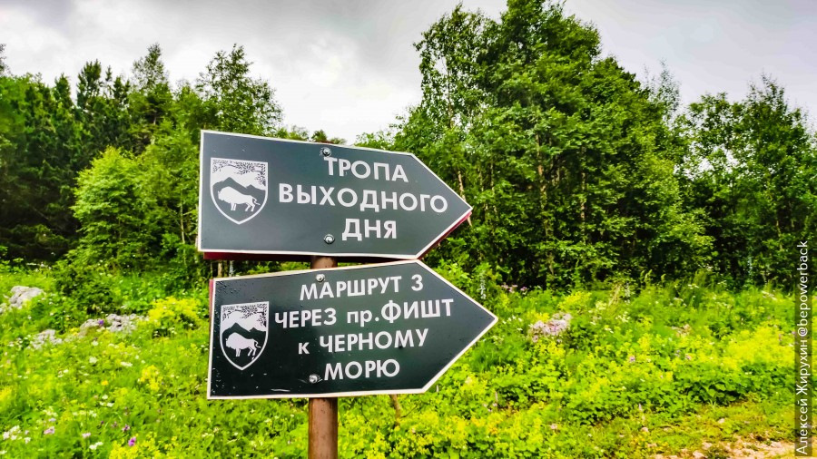 что значит альпийские луга. Смотреть фото что значит альпийские луга. Смотреть картинку что значит альпийские луга. Картинка про что значит альпийские луга. Фото что значит альпийские луга