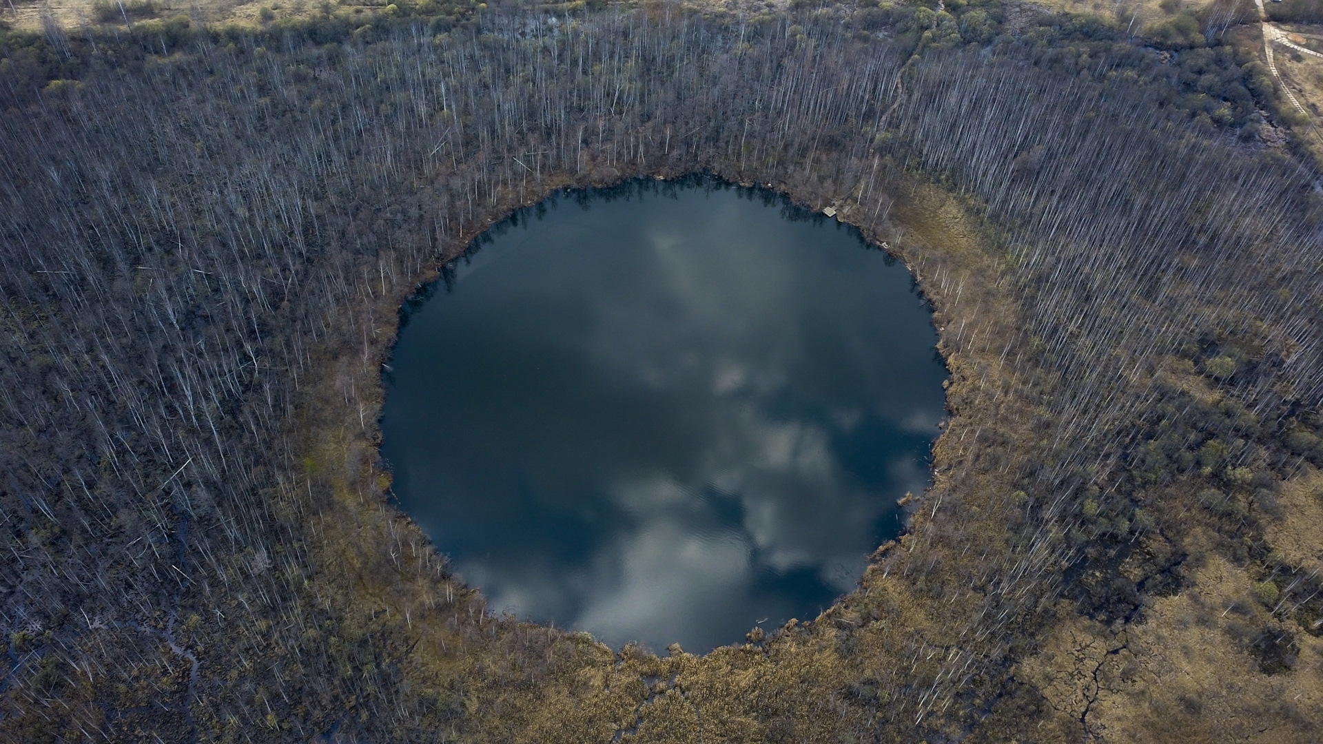 Озеро без дна глубина. Бездонное озеро Солнечногорск. Озеро круглое Солнечногорский. Бездонное круглое озеро в Солнечногорске. Карстовое озеро Солнечногорский район.