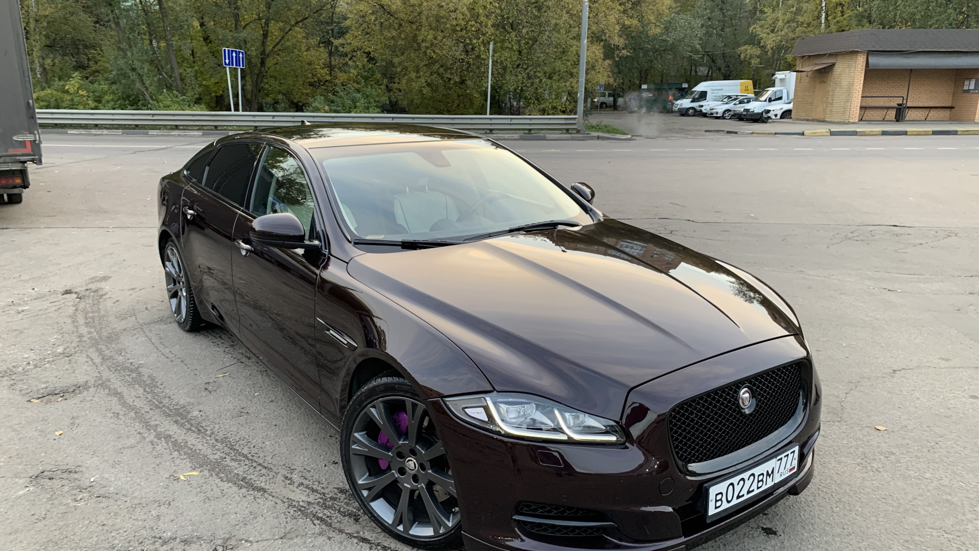 Jaguar XJ Mark 4 3.0 дизельный 2012 | Дикий кот на DRIVE2