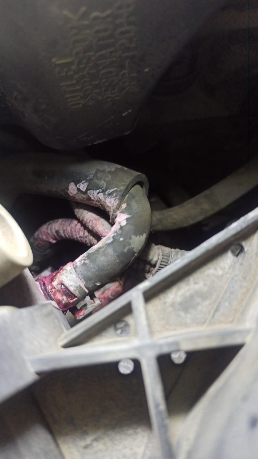 Фото в бортжурнале Toyota Land Cruiser Prado 120-series