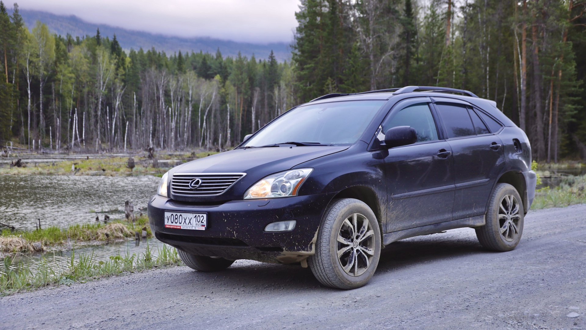 Lexus RX (2G) 3.3 бензиновый 2004 | Рексус на DRIVE2