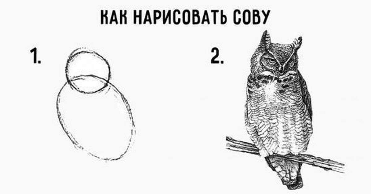 Как нарисовать обоюдно мем