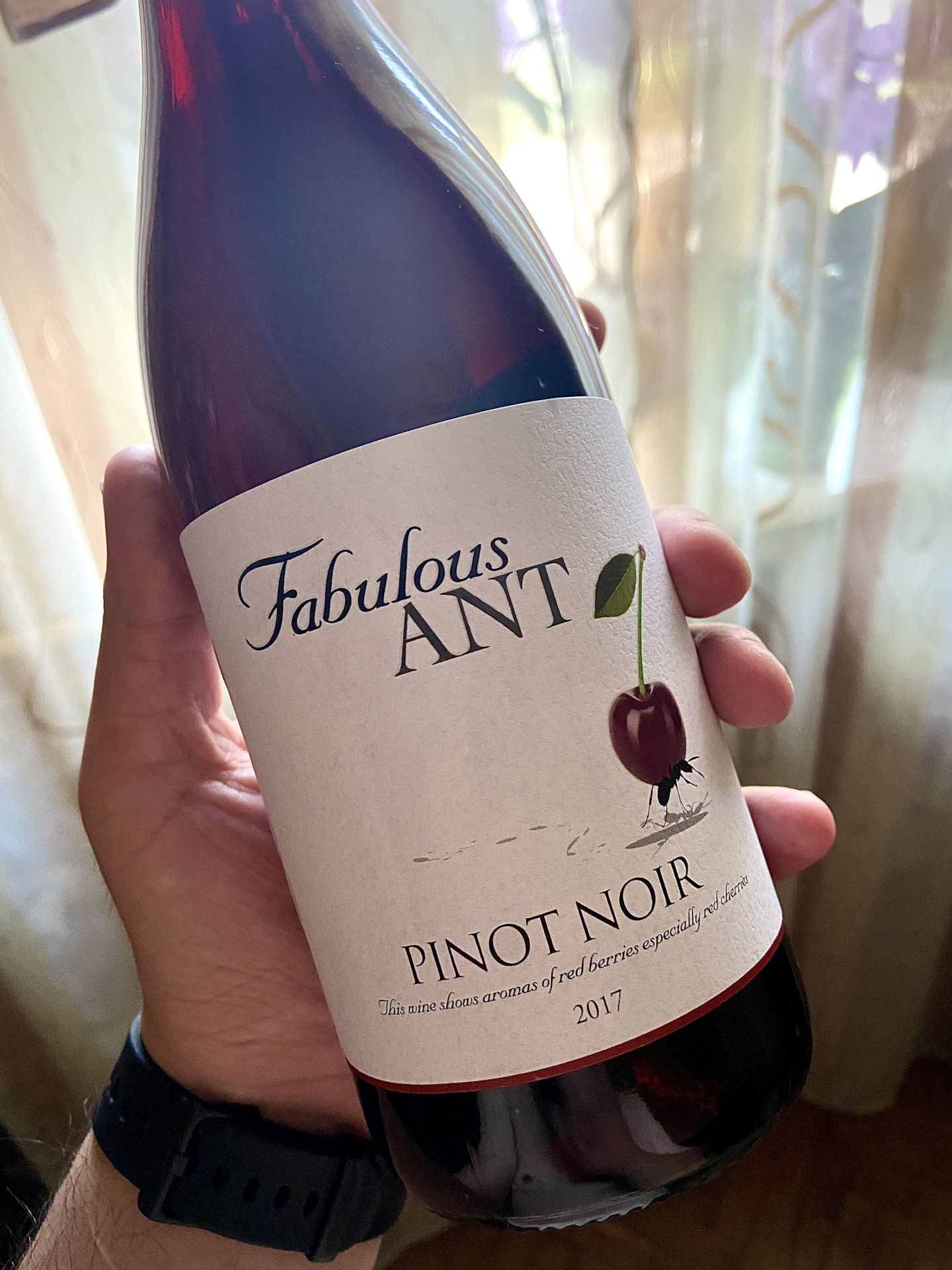 Нуар вино. Фэбьюлос ант Пино Нуар. Вино "fabulous Ant" Pinot Noir. Вино красное Пино Нуар Ричланд. Вино Фэбьюлос ант Пино Нуар красное.